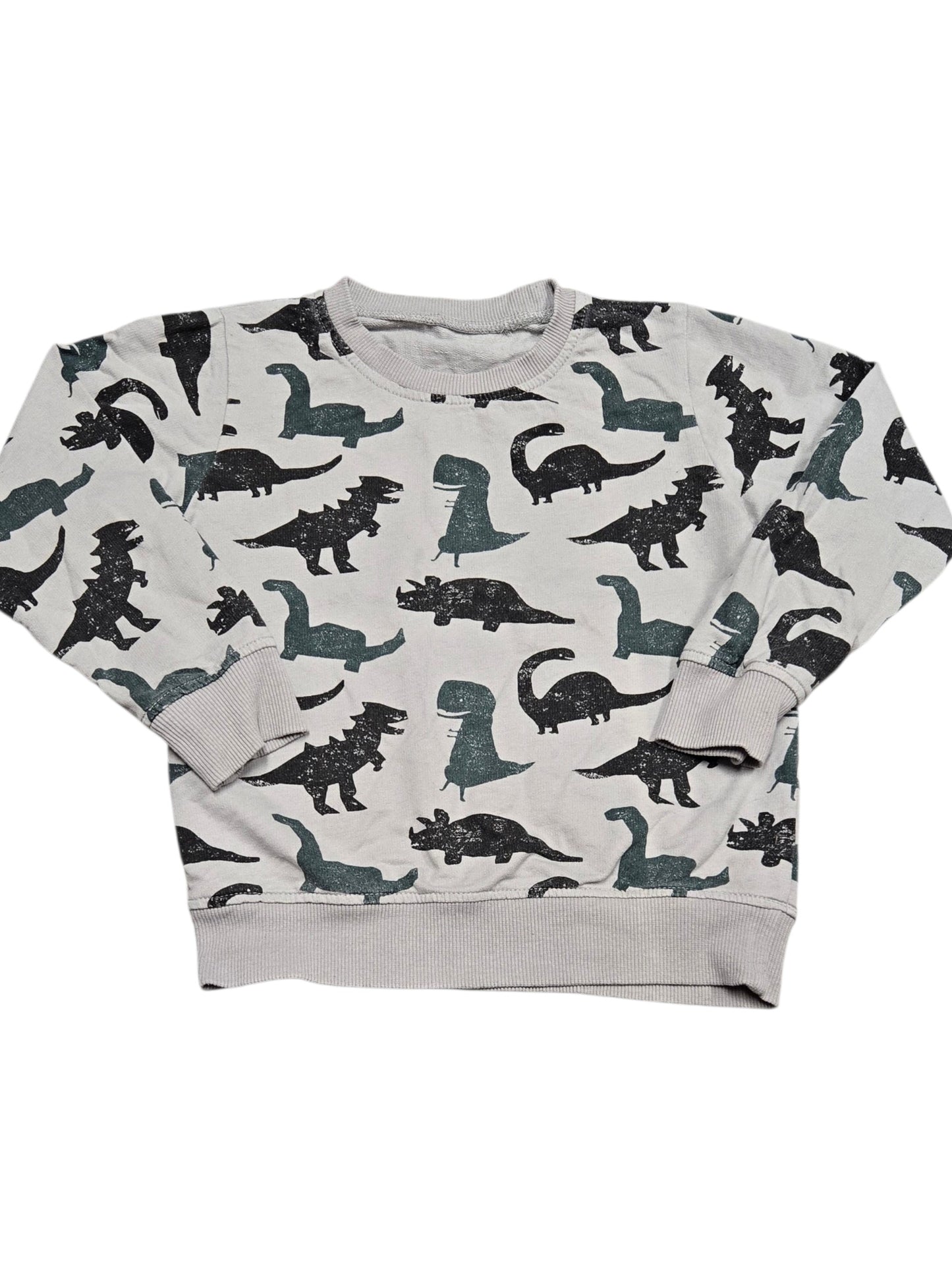 5-6ans Chandail dino