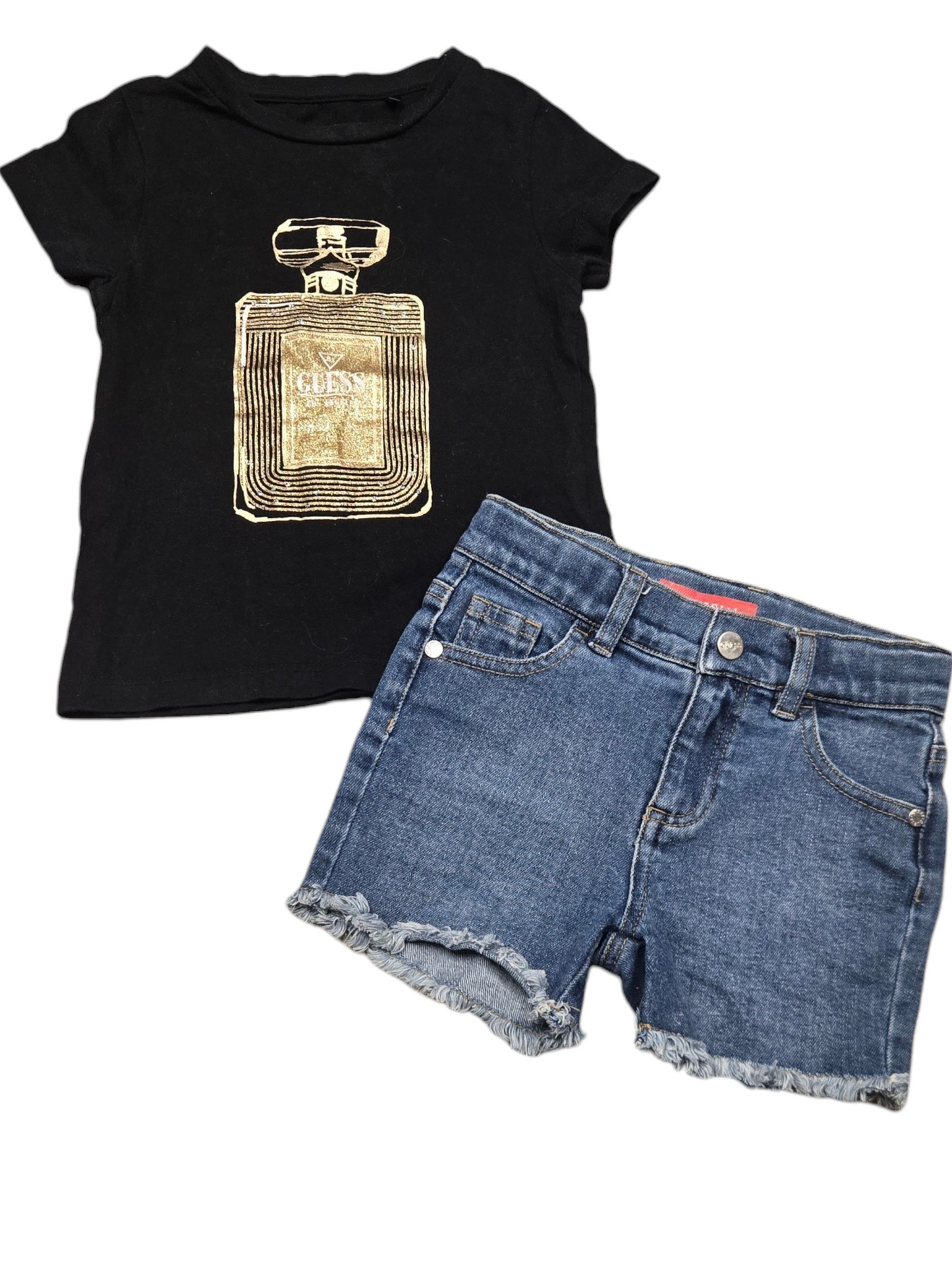 2ans Ensemble GUESS