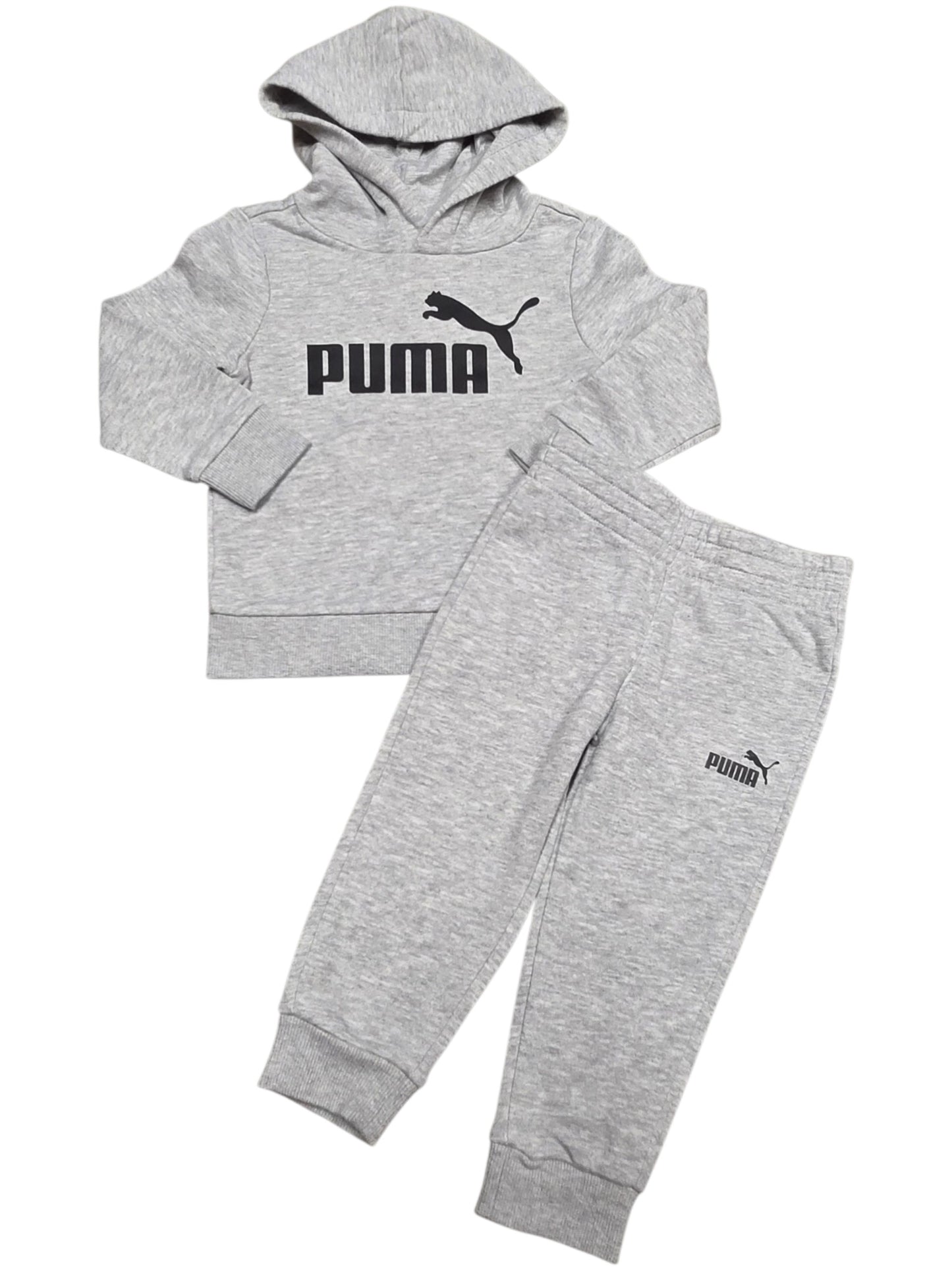 2ans Ensemble PUMA