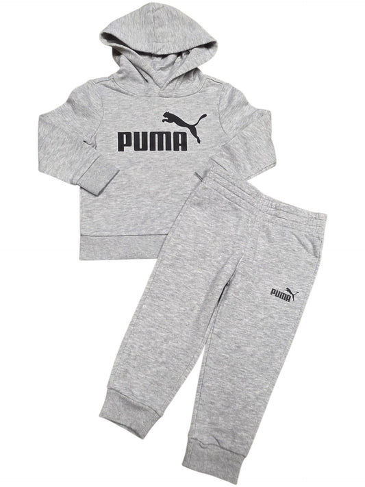 2ans Ensemble PUMA