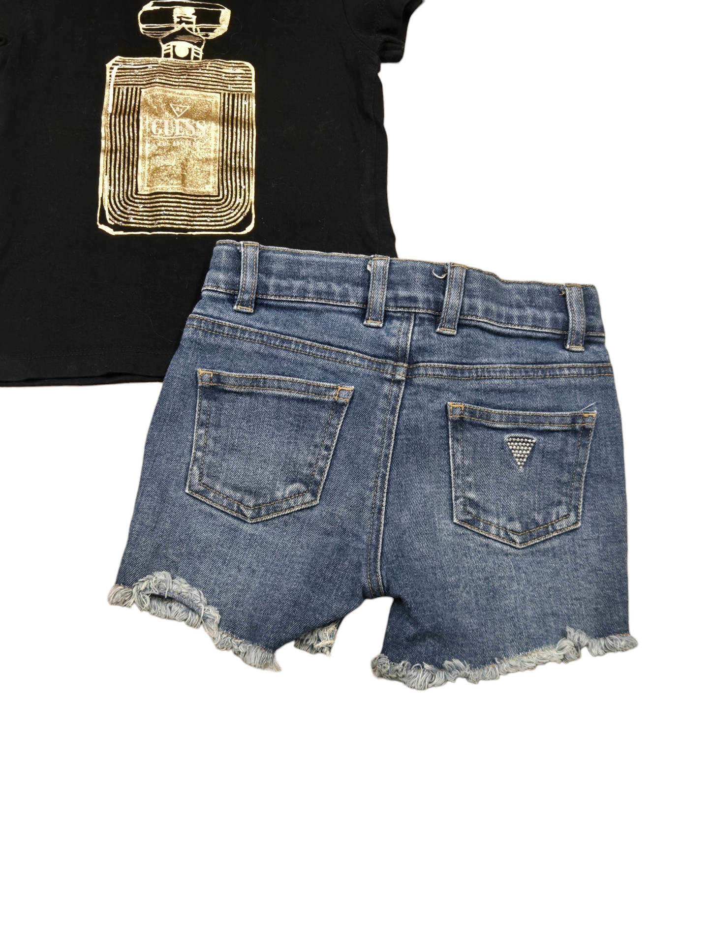 2ans Ensemble GUESS
