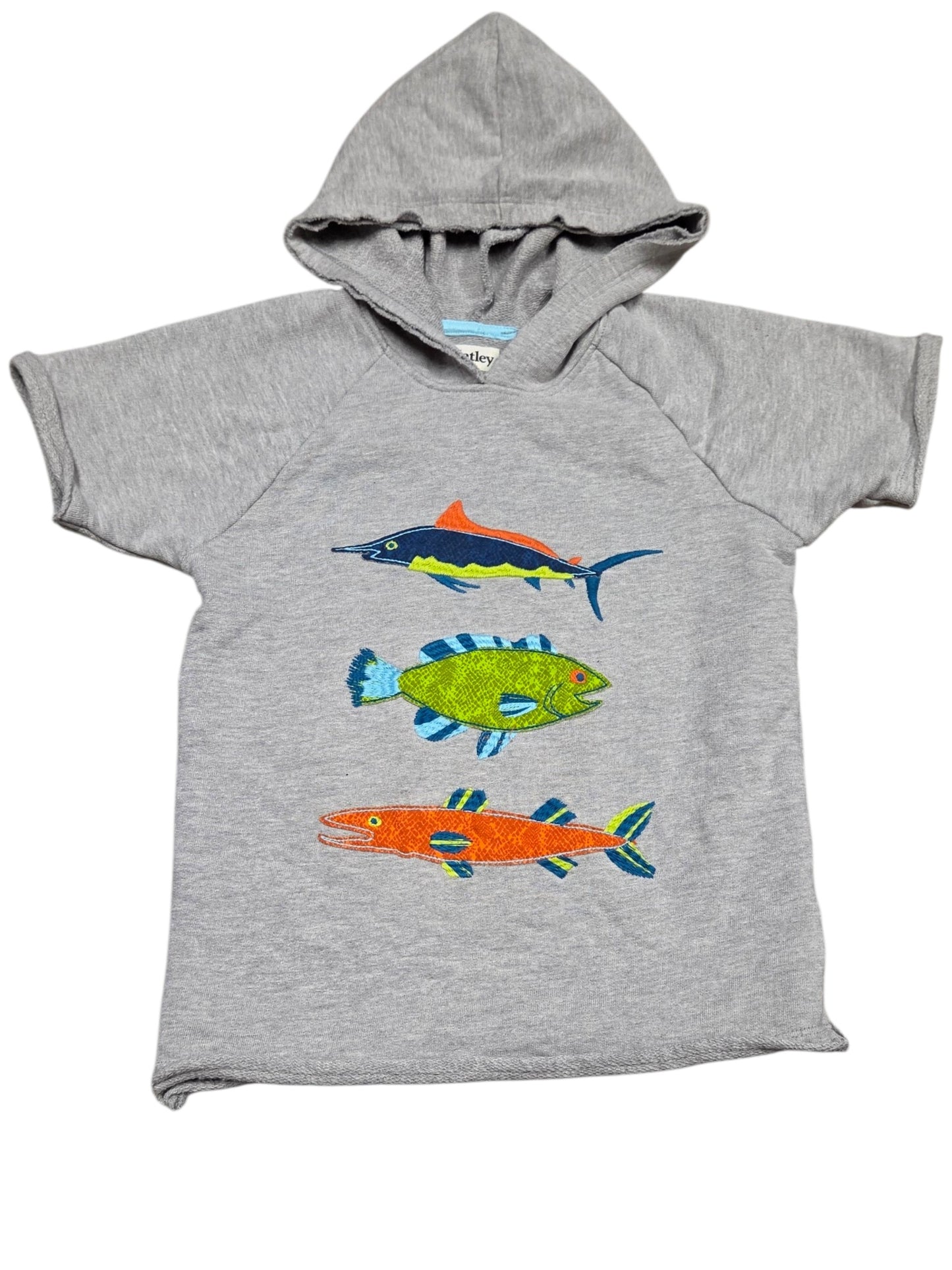 7ans Tshirt HATLEY