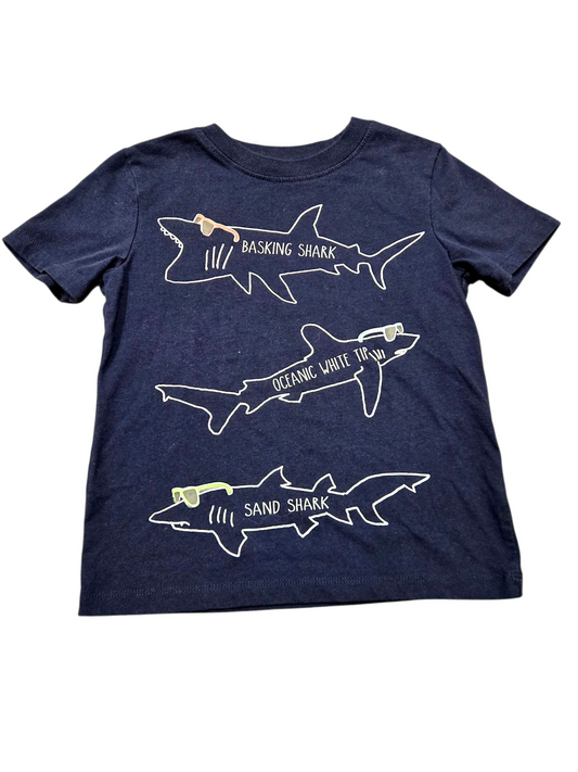 5ans Tshirt ANDY&EVAN